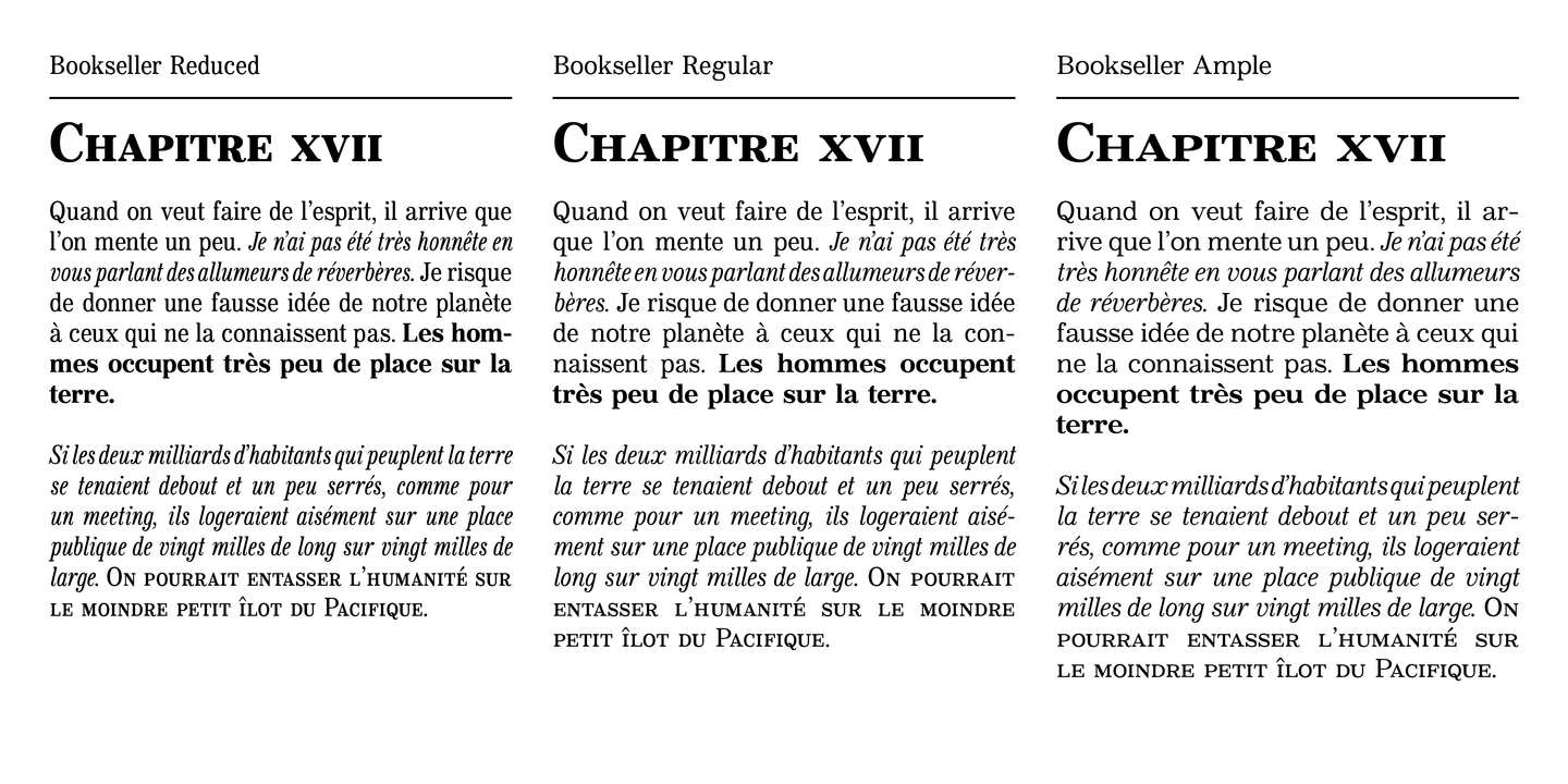 Bookseller Bk Reduced Italic Font preview